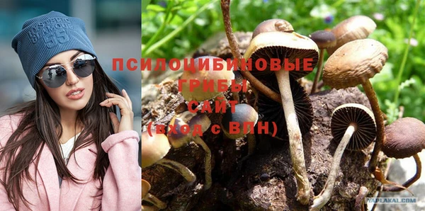 альфа пвп Елизово
