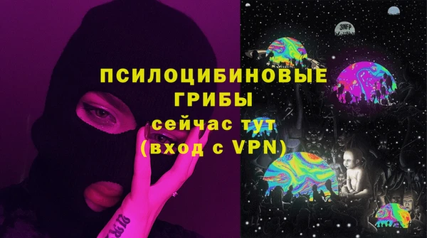 МДМА Ельня