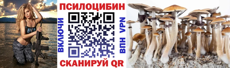 Псилоцибиновые грибы GOLDEN TEACHER  Долинск 